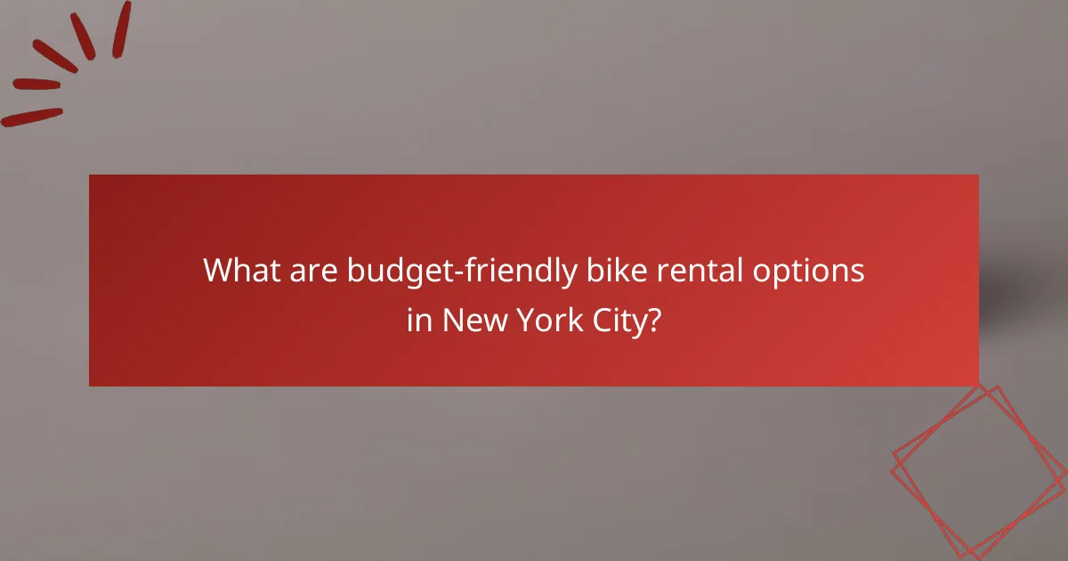 What are budget-friendly bike rental options in New York City?