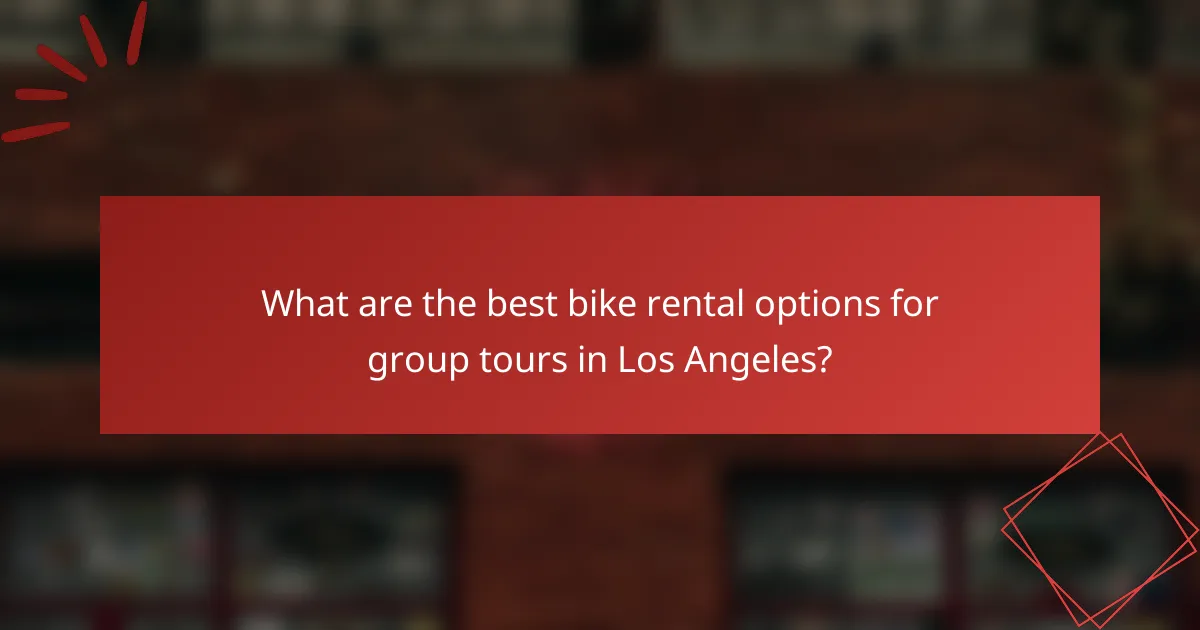 What are the best bike rental options for group tours in Los Angeles?