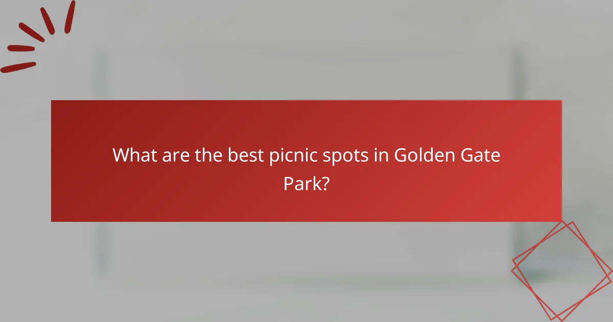 What are the best picnic spots in Golden Gate Park?