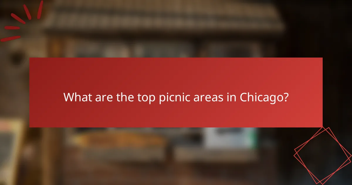 What are the top picnic areas in Chicago?